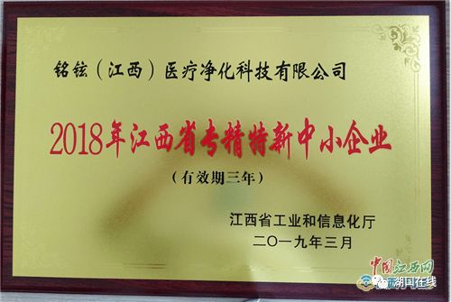 江西省專精特新中小企業認定與江西中小企業網站建設